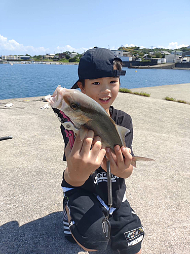 ネリゴの釣果