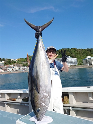 キハダマグロの釣果