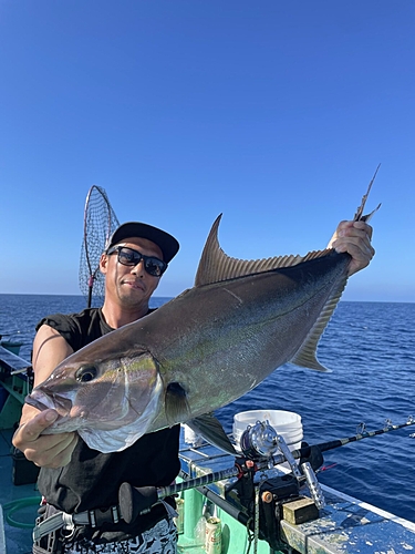 ヒレナガカンパチの釣果