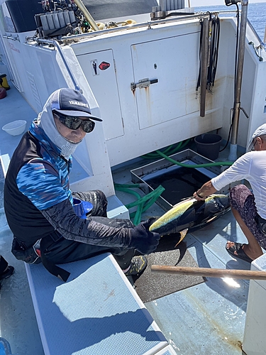 キハダマグロの釣果