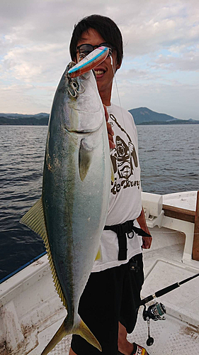 ハマチの釣果