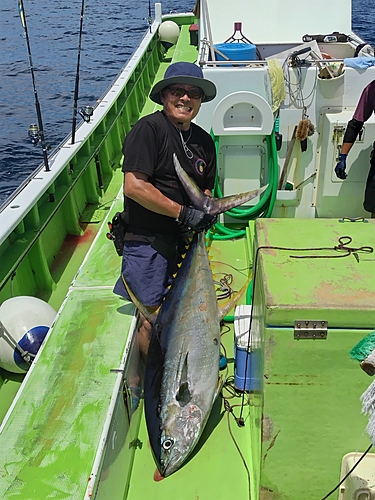 キハダマグロの釣果