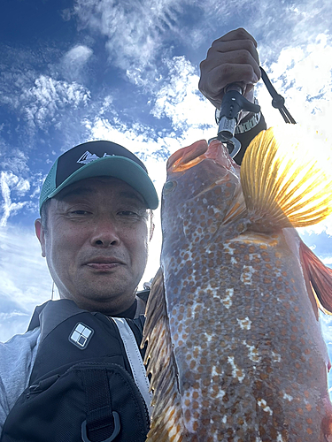 タイの釣果