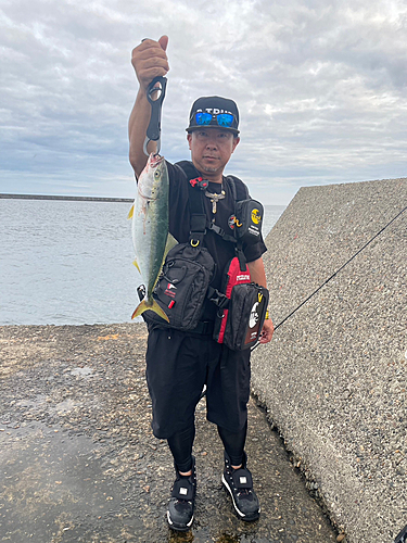 イナダの釣果