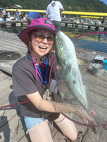 ハマチの釣果