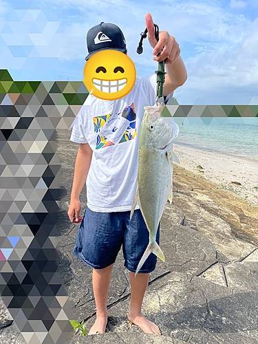 ナンヨウカイワリの釣果