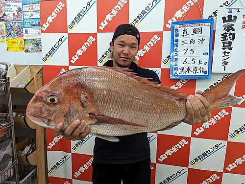 タイの釣果