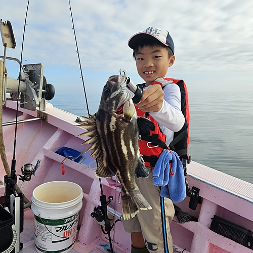 イシナギの釣果