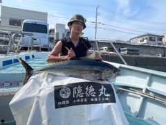 キハダマグロの釣果