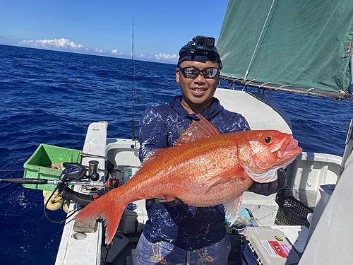 ハチジョウアカムツの釣果