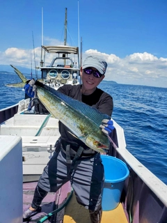 シイラの釣果