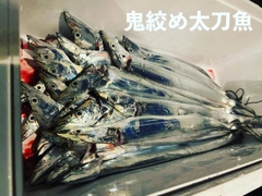 タチウオの釣果