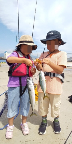 サバの釣果