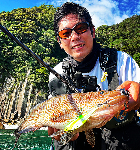 オオモンハタの釣果