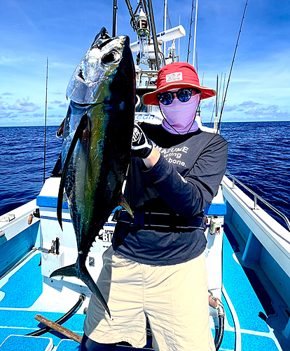 メバチマグロの釣果