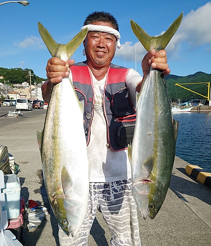 ワラサの釣果