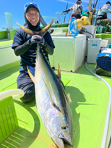 キハダマグロの釣果