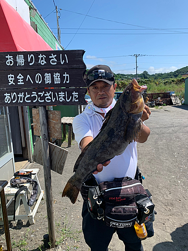 アイナメの釣果