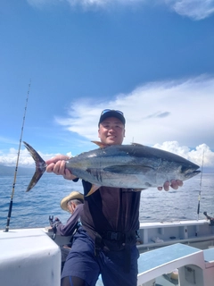 キハダマグロの釣果