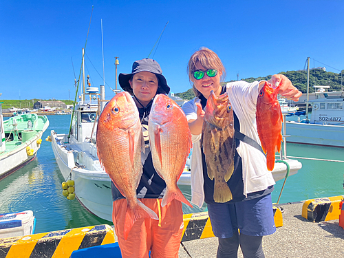 マダイの釣果