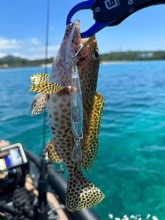 イシミーバイの釣果