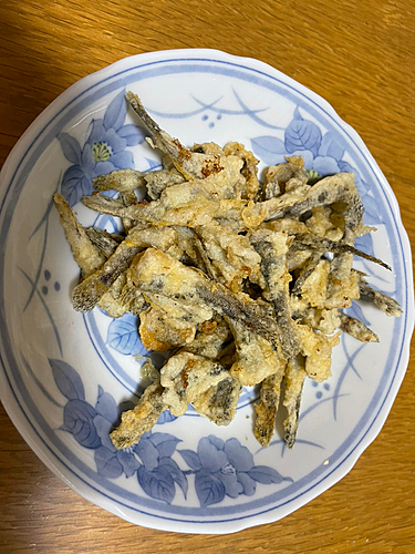 マハゼの釣果