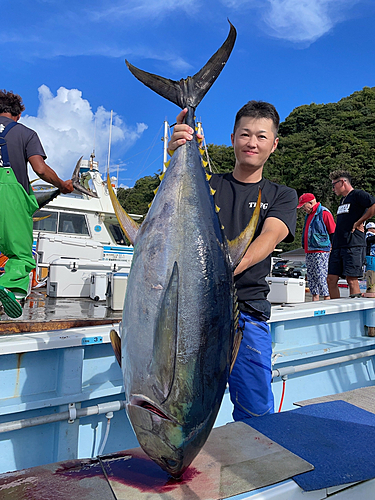 キハダマグロの釣果