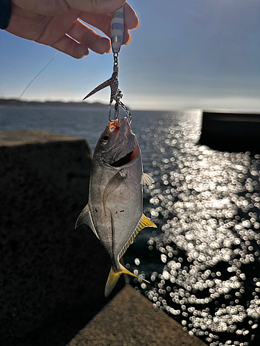 釣果