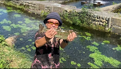 ニジマスの釣果