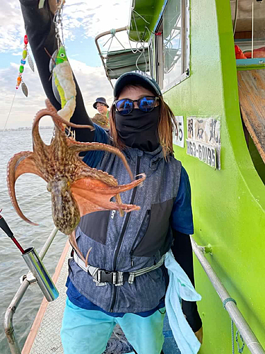 タコの釣果