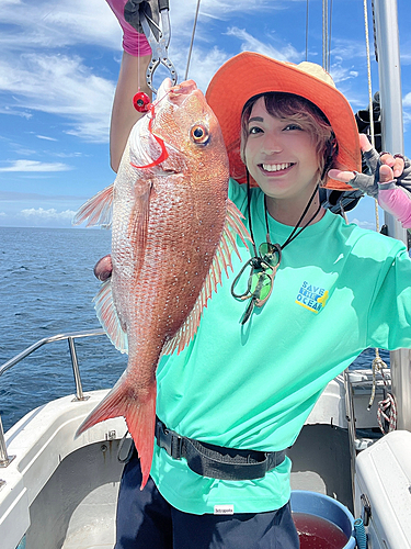 マダイの釣果