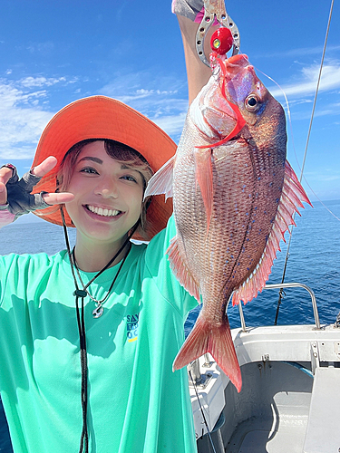 ハナダイの釣果