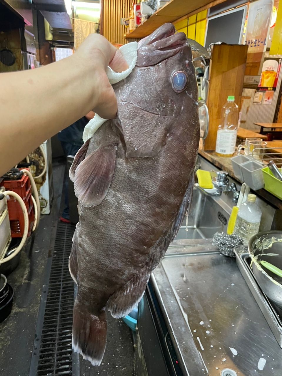 馬力の浜ちゃん（Yama3yon）さんの釣果 2枚目の画像