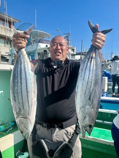 カツオの釣果