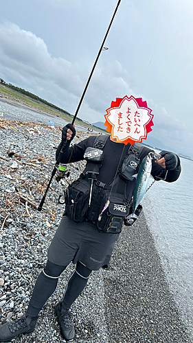 ソウダガツオの釣果