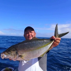 シマアジの釣果