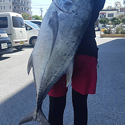 ★きゃお★の釣果