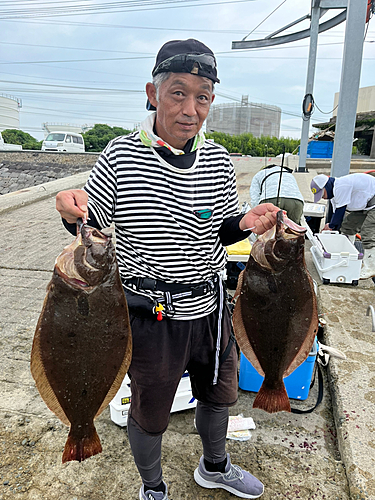 ヒラメの釣果