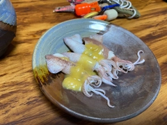 ベイカの釣果