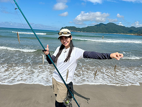 シロギスの釣果