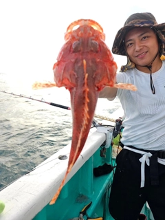 オニカサゴの釣果