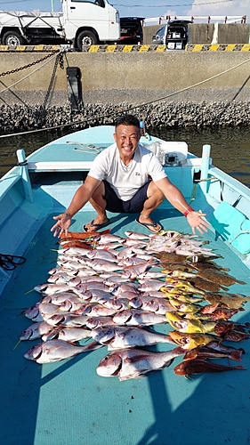 マダイの釣果