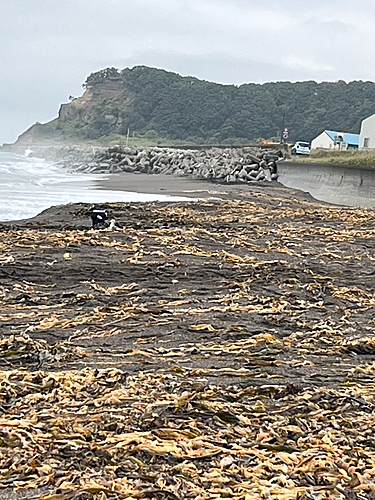 釣果