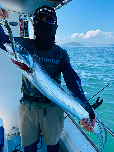 タチウオの釣果