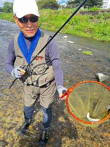 アユの釣果