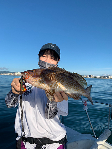 オオモンハタの釣果