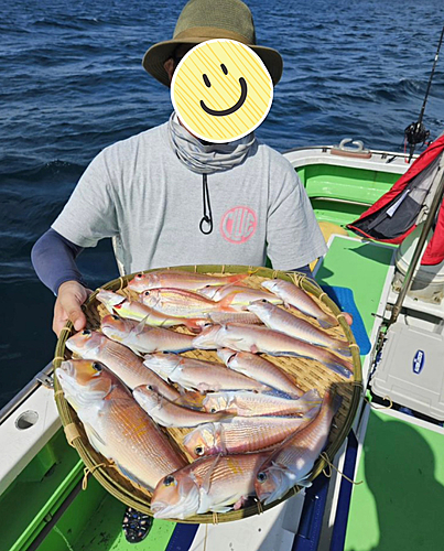 アマダイの釣果