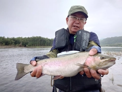 ニジマスの釣果