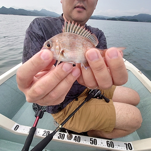 チャリコの釣果