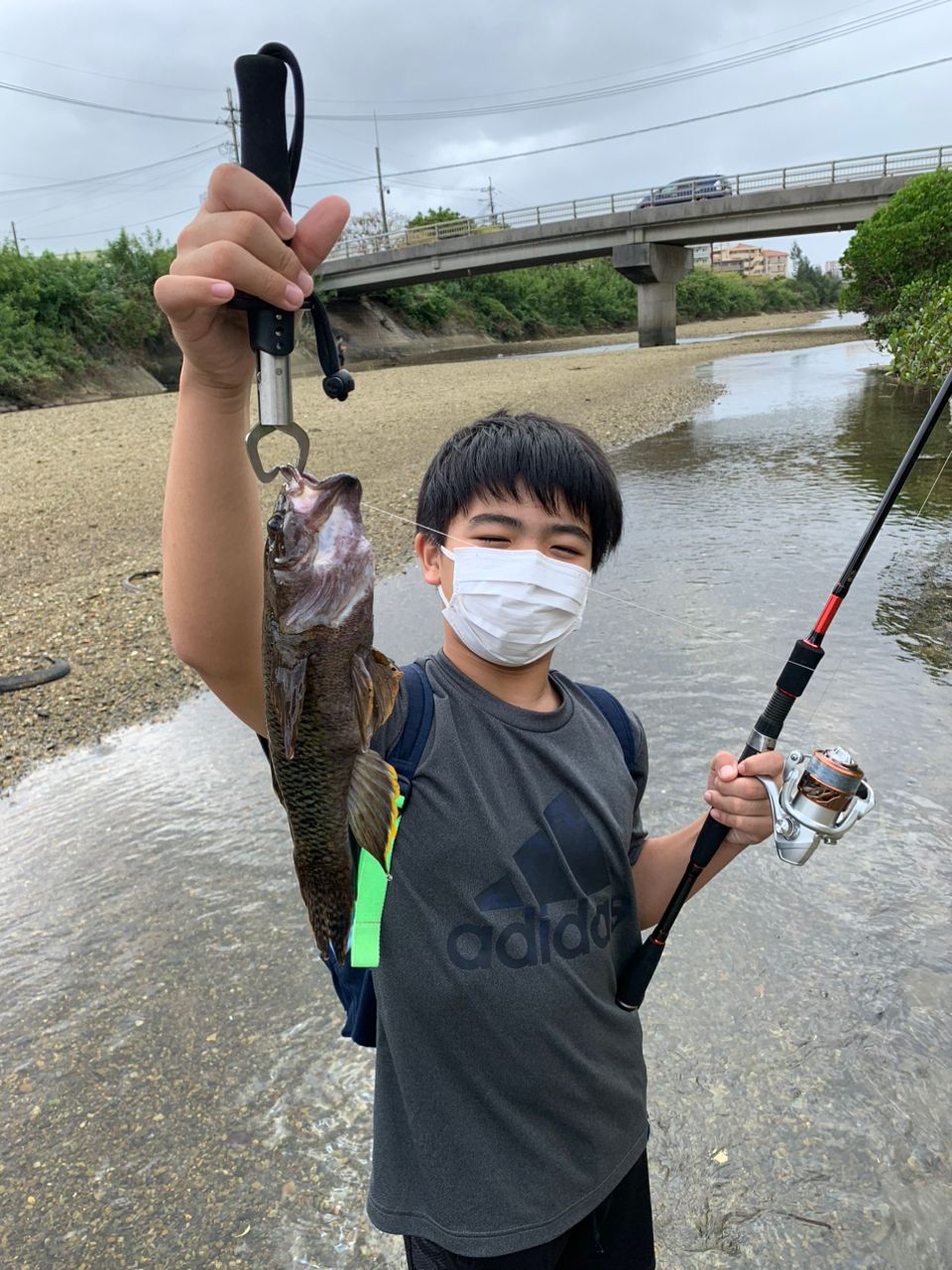 ホシマダラハゼ